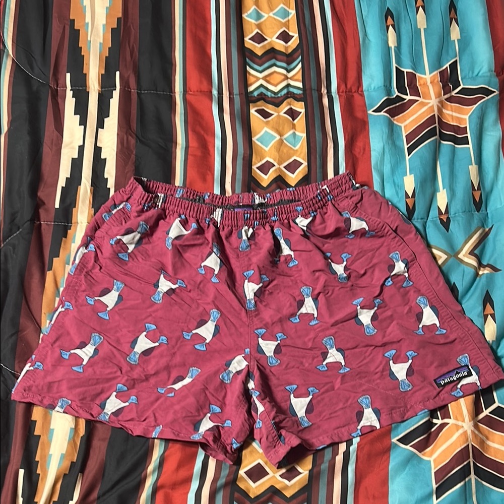 Patagonia Baggies Blue Footed Booby Men’s